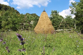 Haystack