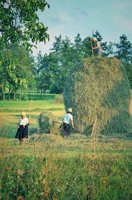 Breb, Maramures
