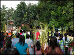 Palm Sunday