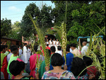 Palm Sunday