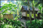 Homes in the barrio