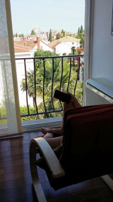 Best seat in the house