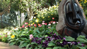 African garden