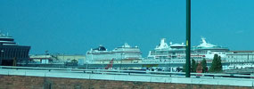 Line-up of some of the cruise ships in port today