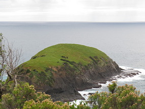 Muttonbird point
