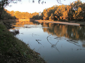 Our late afternoon walk