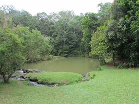 Peterson creek