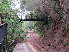 Baron Gorge scenic  railway