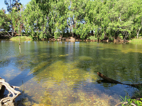 Bushy parker park