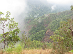 Girringun National park
