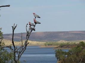 Lake  Moondarra