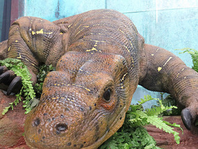 Varanus [megalania ] priscus      --giant lizard
