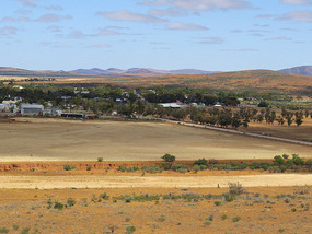 Hawker from camel hump lookout