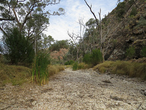 Nooldoonooldoona water hole