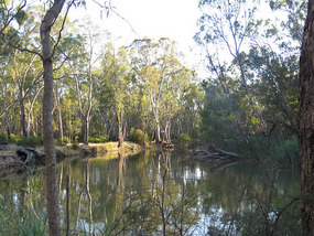 Edwards river