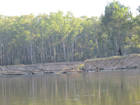 We spent days in this water
