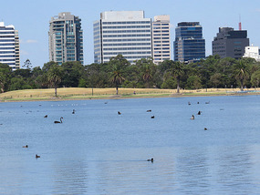Melborune from Albert park lake