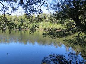 Mersey river Latrobe