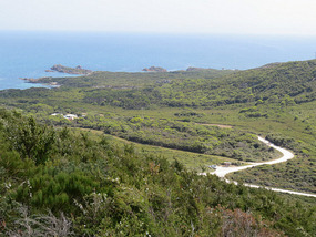 Rocky cape national park