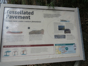 Explanation