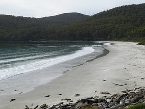 Fortescue Bay looking back to camp