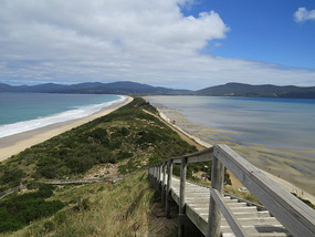 Lookout showing the Neck Bruny island