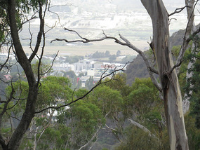 looking at Launceston from top of Cateract Gorge