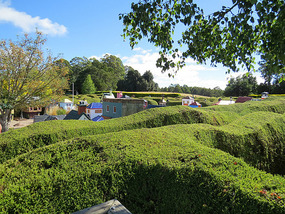 Mazes from one lookout