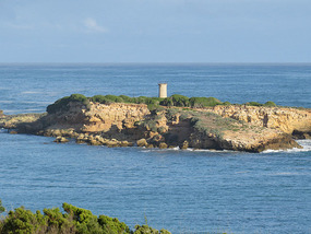 Penguin Island