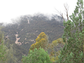 Mt. Remarkable