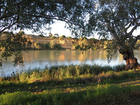 Murray river