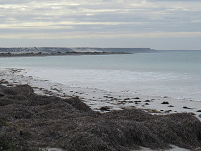 Eucla Beach
