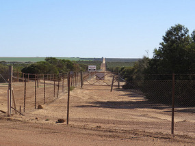The fence