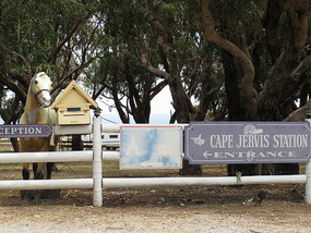 Gate at Cape Jervis station