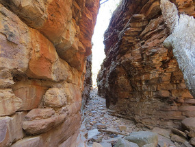 entrance Alligator gorge