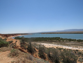 lookout over spencer gulf