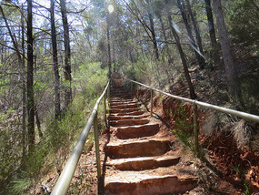 over 200 steps into Alligator gorge