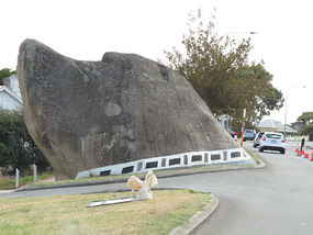 Dog rock