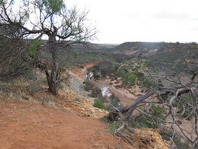 coalseam CP