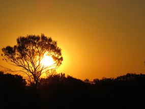 Coorow Sunset  