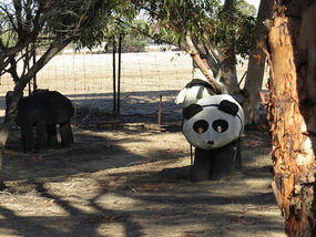 Paddock sculptures