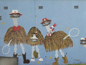 painting tennis courts  Mingenew