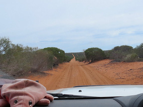 Track to  Francois Peron NP