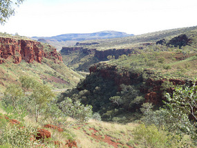 Albert Tognoli lookout