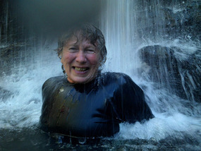 Fern pool