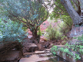 walk into circular pool bottom of gorge