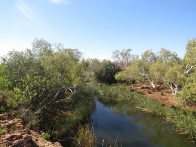 our view camp