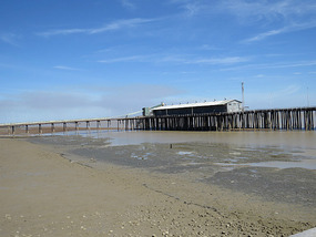 low tide