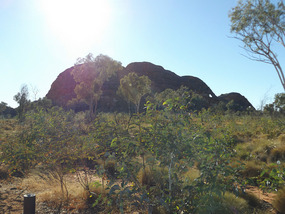 elephant rock