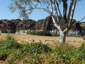 Geikie gorge